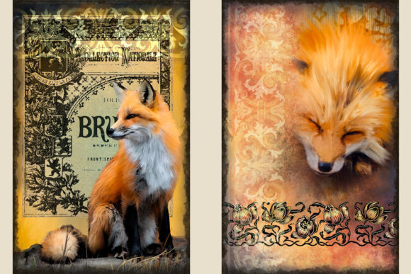fox junk journal kit and ephemera junk journal cover ideas printable