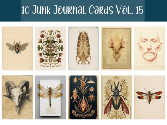 vintage insect junk journal card bundle junk journal stickers printable tags labels