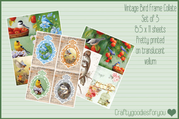 Vintage Bird Frame Collages vintage frame photo collage wall art